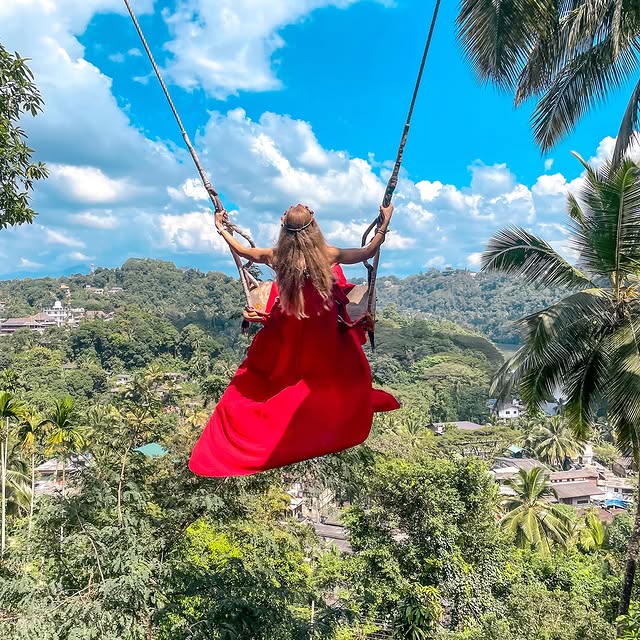 Phoenix Catalysis (creatorlover.lens) Lens social identity (.lens handle) PFP