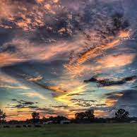 9831 (88887.lens) Lens social identity (.lens handle) PFP