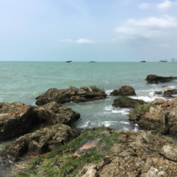 Shellicia (shelley.lens) Lens social identity (.lens handle) PFP