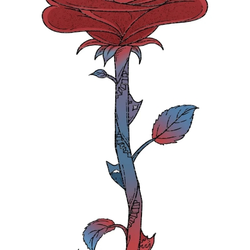 665588 (665588.lens) Lens social identity (.lens handle) PFP