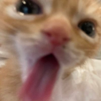 emmy (emmyuh.lens) Lens social identity (.lens handle) PFP