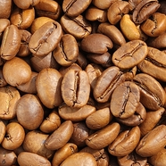 PENG (66757.lens) Lens social identity (.lens handle) PFP