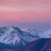 SK85634 (cngcnghoi.lens) Lens social identity (.lens handle) PFP