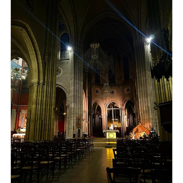 Market Maven (freepp.lens) Lens social identity (.lens handle) PFP