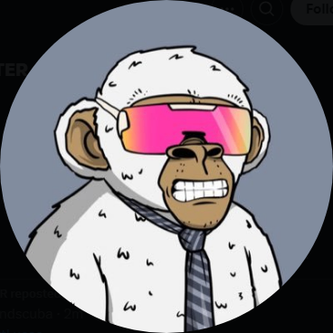 XRP MEME HUNTER (rbtnyny.lens) Lens social identity (.lens handle) PFP