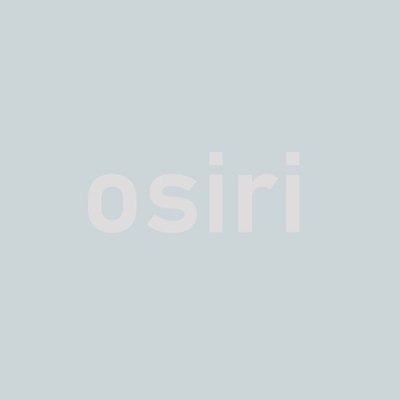 osiri60812441 (osiri60812441.lens) Lens social identity (.lens handle) PFP