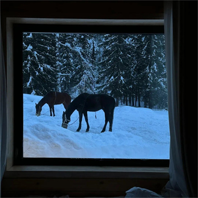 Huya (huajio.lens) Lens social identity (.lens handle) PFP