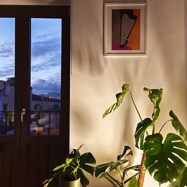 Cognitive Polyglot (fastenal.lens) Lens social identity (.lens handle) PFP