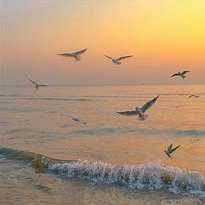 Jovan (sdfgf.lens) Lens social identity (.lens handle) PFP