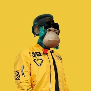 Shailendra Meena (shailendra2607.lens) Lens social identity (.lens handle) PFP