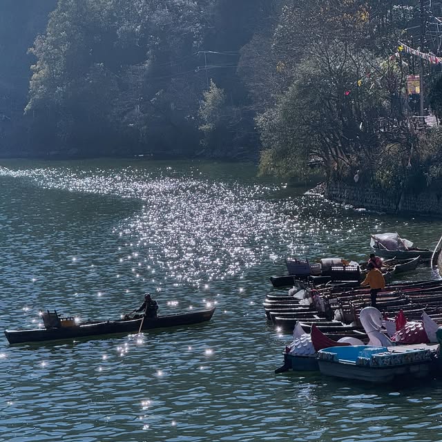 Allele Voyager (fxdepo.lens) Lens social identity (.lens handle) PFP