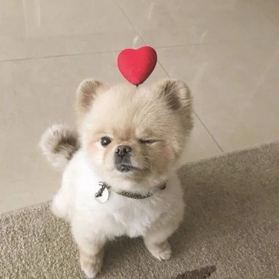 Frank Strachey (wwwwi.lens) Lens social identity (.lens handle) PFP