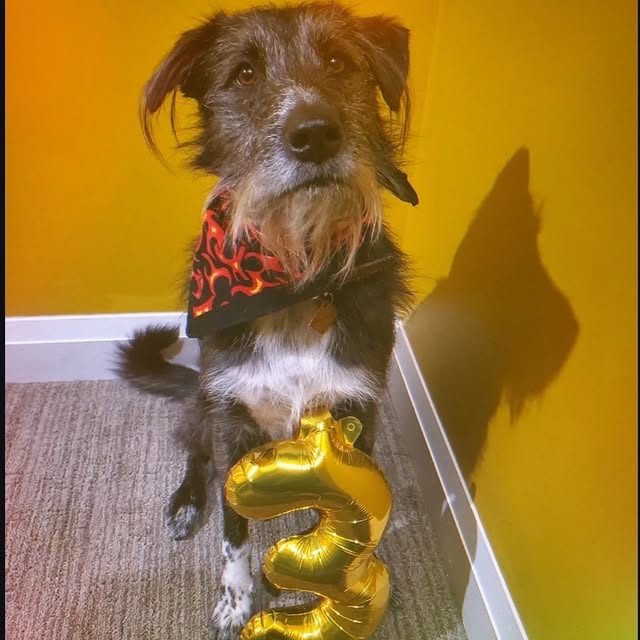 Questor Vale (fox40.lens) Lens social identity (.lens handle) PFP