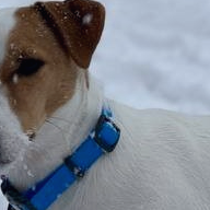 orlandooo (orlandooo.lens) Lens social identity (.lens handle) PFP