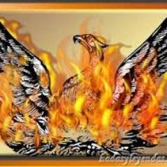 ffescalante13 (ffescalante13.lens) Lens social identity (.lens handle) PFP