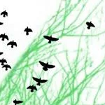 ss (supermario1.lens) Lens social identity (.lens handle) PFP