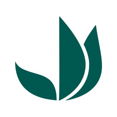 Truffaut (truffautzuk.lens) Lens social identity (.lens handle) PFP