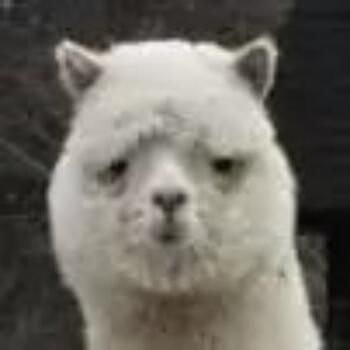 janus_of_DC (85521.lens) Lens social identity (.lens handle) PFP