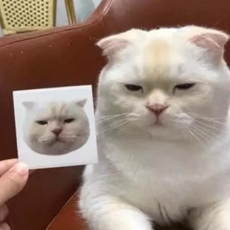 Abigail (kaokqwhwio.lens) Lens social identity (.lens handle) PFP