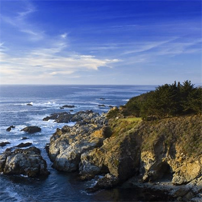 bullshi (bullshi.lens) Lens social identity (.lens handle) PFP