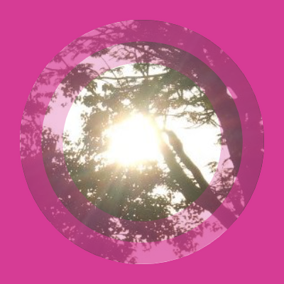 yeslens (yeslens.lens) Lens social identity (.lens handle) PFP