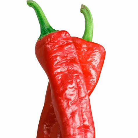 Chili5 (chili5.lens) Lens social identity (.lens handle) PFP