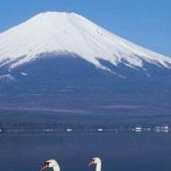 Chloe Doyle (xxvvv.lens) Lens social identity (.lens handle) PFP