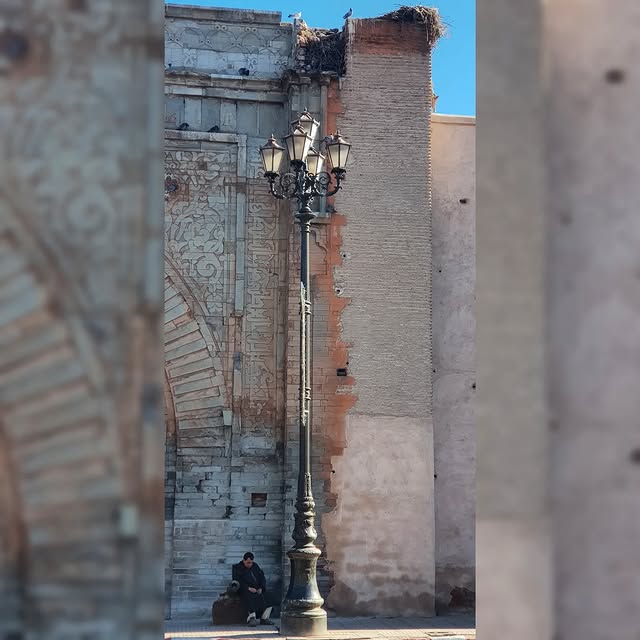 Alkyna Greens (ytimg.lens) Lens social identity (.lens handle) PFP