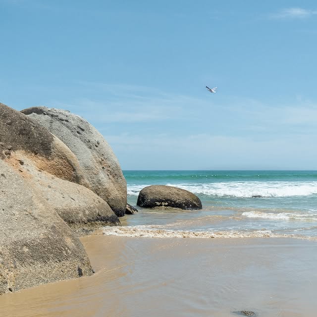 EcoExplorer 🌿 (biography.lens) Lens social identity (.lens handle) PFP