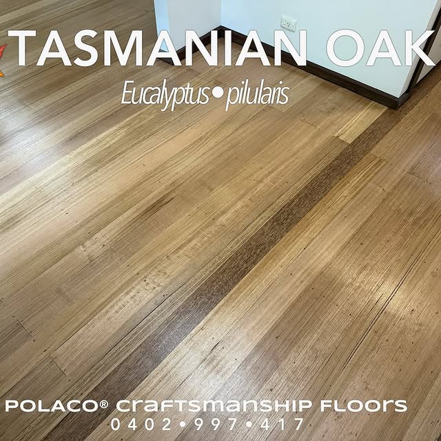 Ellen Fairmont (alenty.lens) Lens social identity (.lens handle) PFP