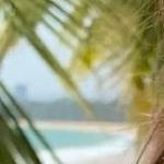 ThomasChase (madisonsamuel.lens) Lens social identity (.lens handle) PFP