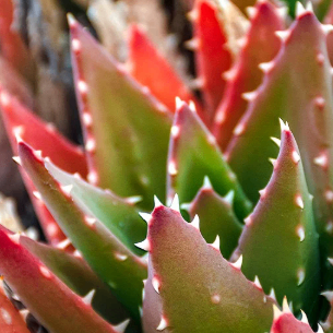 jyugjhgbvh (0u996.lens) Lens social identity (.lens handle) PFP