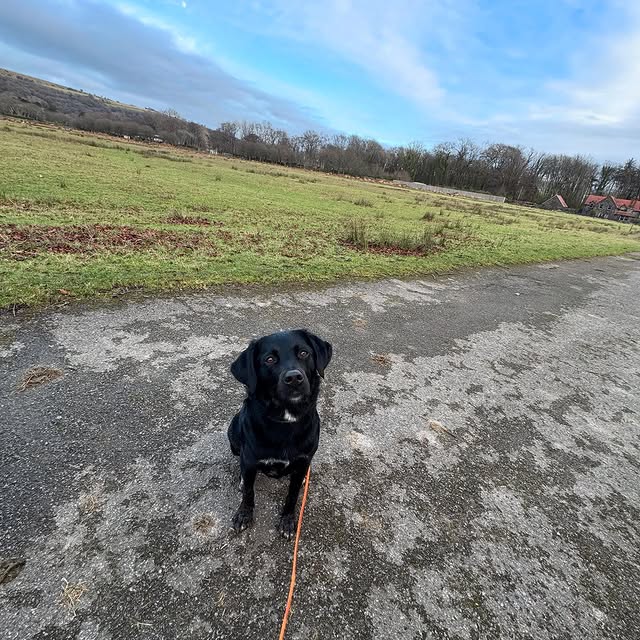 Digital Health Nexus (turninc.lens) Lens social identity (.lens handle) PFP