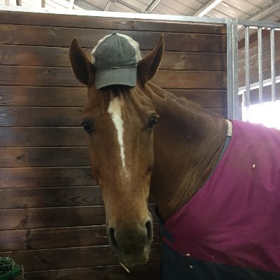 momofanangel32 (momofanangel32.lens) Lens social identity (.lens handle) PFP