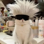 wallisf (wallisf.lens) Lens social identity (.lens handle) PFP