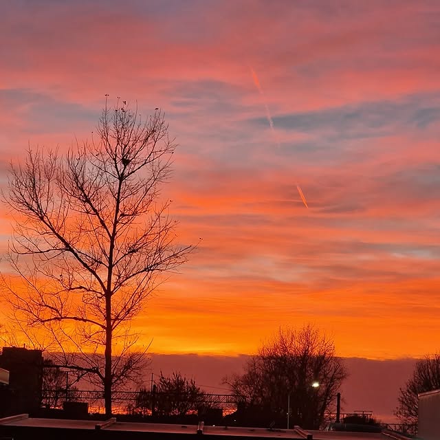 Aqua Sentinel (bloglovin.lens) Lens social identity (.lens handle) PFP