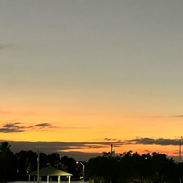 Maxwell Ledger (yldbt.lens) Lens social identity (.lens handle) PFP