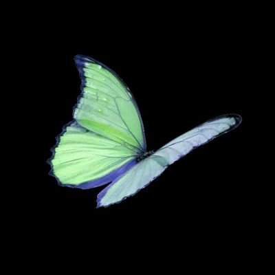 hopepics7 (hopepics7.lens) Lens social identity (.lens handle) PFP