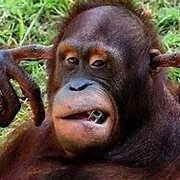 curtisaa (curtisaa.lens) Lens social identity (.lens handle) PFP