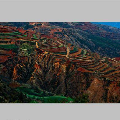 Odelette Romeo (hhhhhz.lens) Lens social identity (.lens handle) PFP