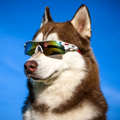 Henry (henryday.lens) Lens social identity (.lens handle) PFP