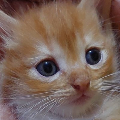 kenques (shixmn.lens) Lens social identity (.lens handle) PFP