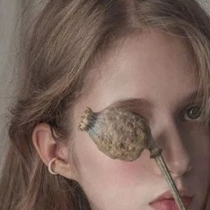 JacobEvelyn (baileyaxel.lens) Lens social identity (.lens handle) PFP