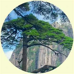 FredyUCF (fredyucf.lens) Lens social identity (.lens handle) PFP