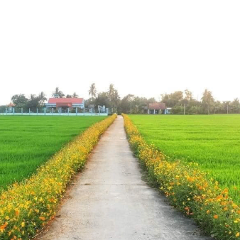 ngochuyen2k5 (ngochuyen2k5.lens) Lens social identity (.lens handle) PFP