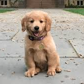 wumingshi (wumings.lens) Lens social identity (.lens handle) PFP