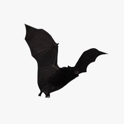 stask (stanisluuv.lens) Lens social identity (.lens handle) PFP