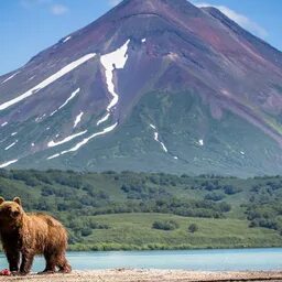 Ridge Rider (mezzobit.lens) Lens social identity (.lens handle) PFP