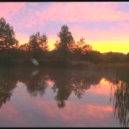 Makson (marxim6.lens) Lens social identity (.lens handle) PFP