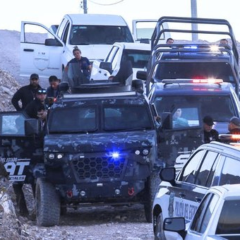 hoder (83929.lens) Lens social identity (.lens handle) PFP